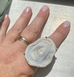 Fossilized Shell Agate Druzy Ring #32