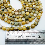 Yellow Moss Opal Faceted Coins - 6mm