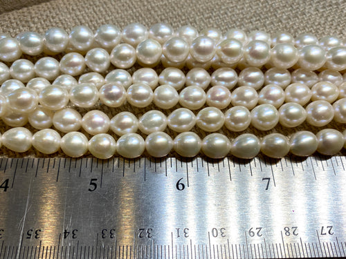 Freshwater Pearls - Slightly Oval - 8mm