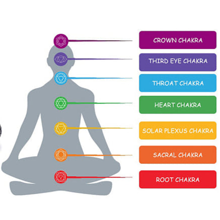 depiction of seven chakras with regards to colors and body location beginning with the crown chakra and ending with the root chakra. 