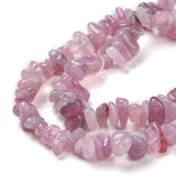 zoomed in section of darker rose quartz chip strands over white background. 