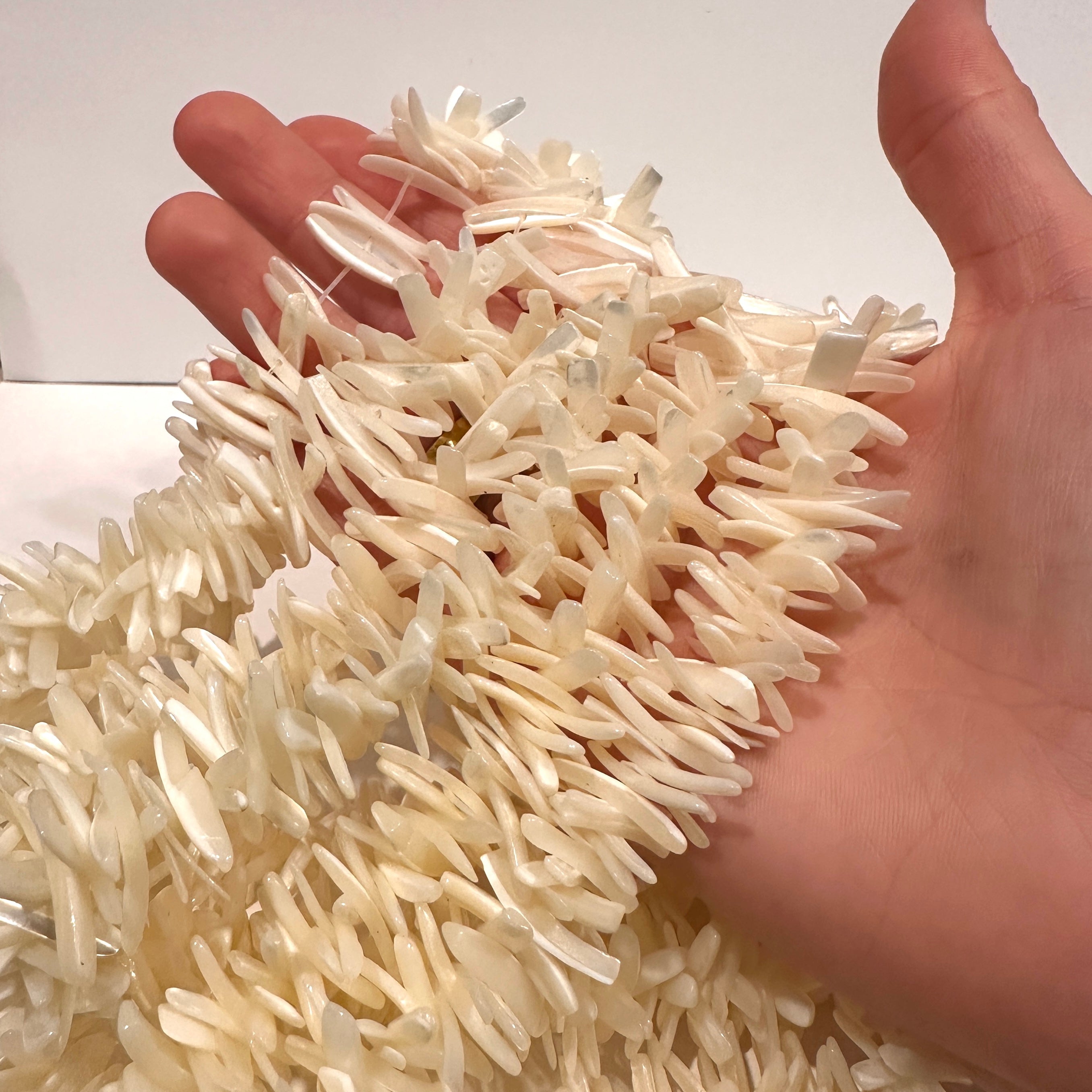 Shell Freeforms (Center-Drilled)