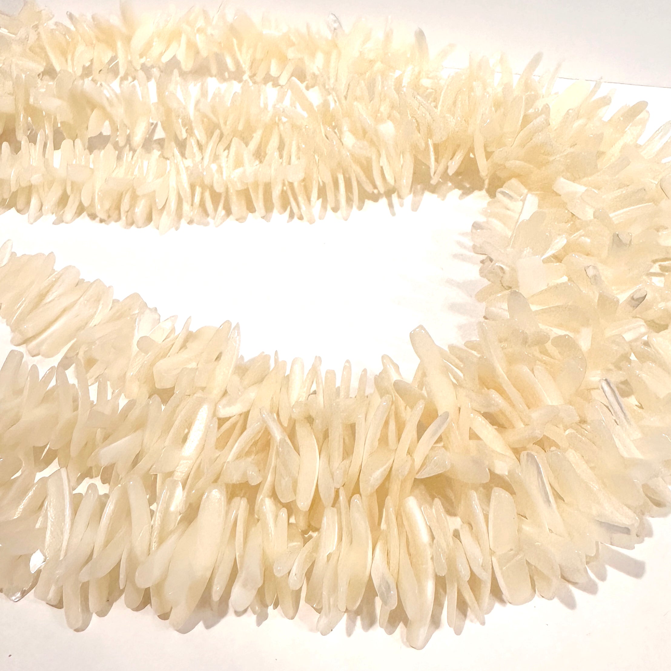 Shell Freeforms (Center-Drilled)