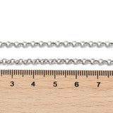 silver tone Rolo chain necklace displayed above wooden ruler on white surface. 