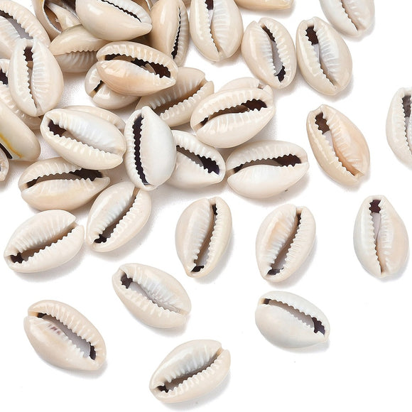 collection of natural cowrie shell beads over white background. 