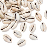 collection of natural cowrie shell beads over white background. 