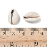 two natural cowrie shell beads displayed over wooden ruler with white background. 