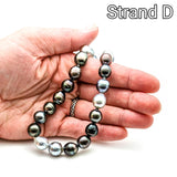 Tahitian Pearls - 10mm to 15mm