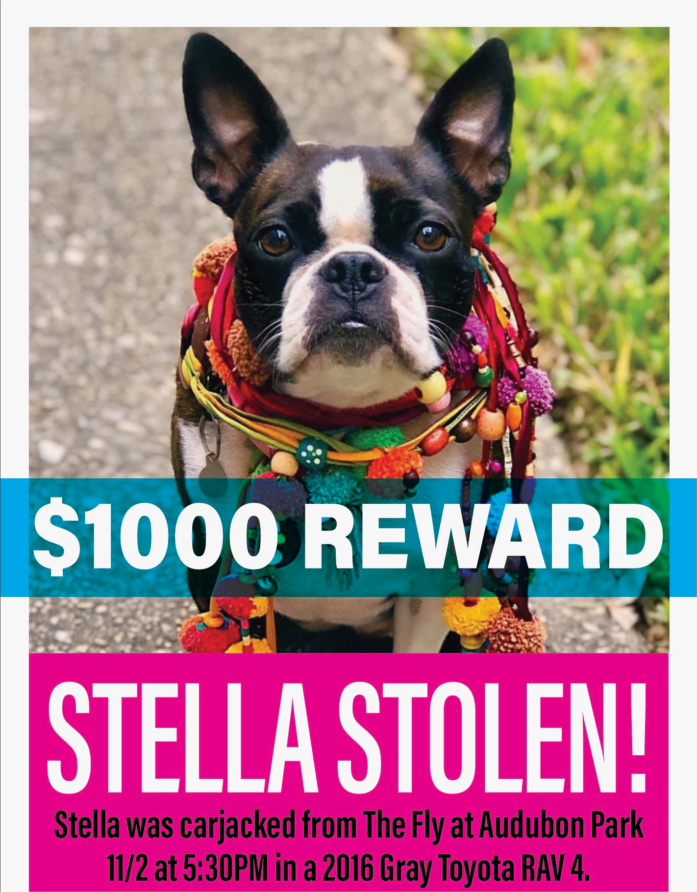 Stella Pin: Supporting The Humane Society of Louisiana