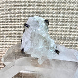 clear quartz point cluster ring with adjustable band