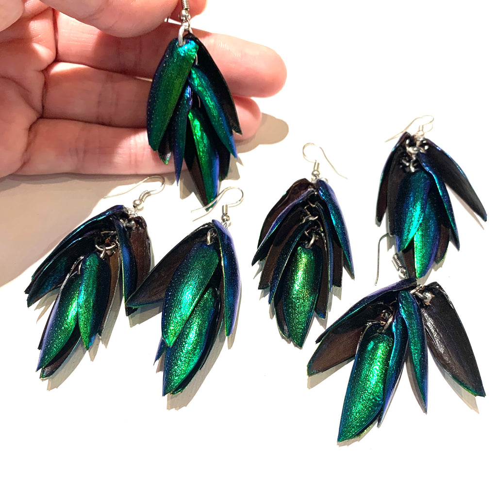 beetle wing earrings natural beetle wings beading supplies jewelry supplies natural jewelry