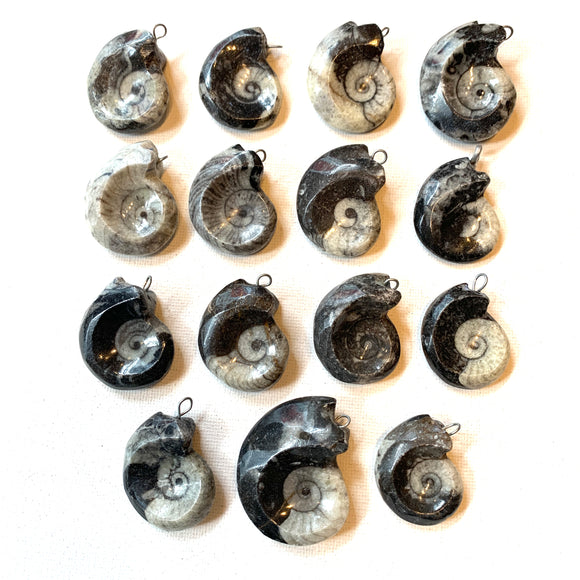 Goniatite Ammonite Pendants