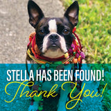 Stella Pin: Supporting The Humane Society of Louisiana