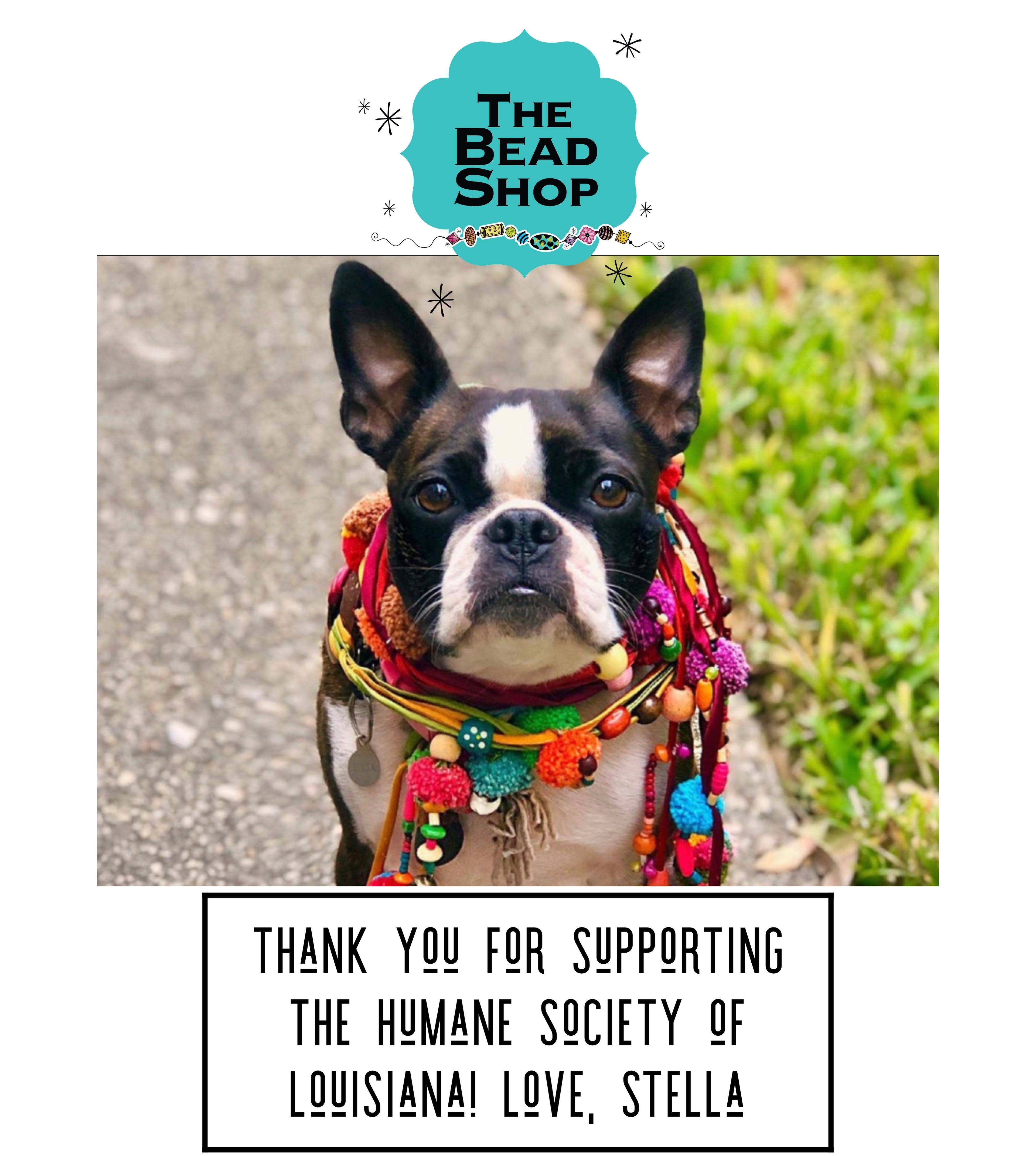 Stella Pin: Supporting The Humane Society of Louisiana