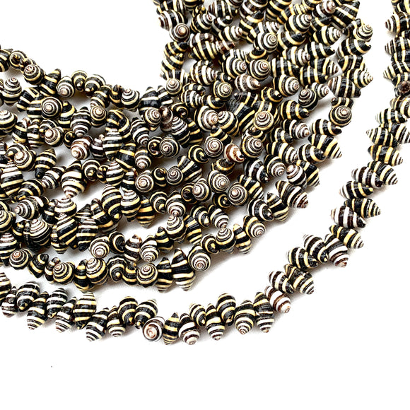 zebra nerite snail shell beads shell beads natural beads striped beads