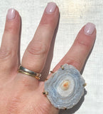 Fossilized Shell Agate Druzy Ring #33