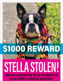 Stella Pin: Supporting The Humane Society of Louisiana