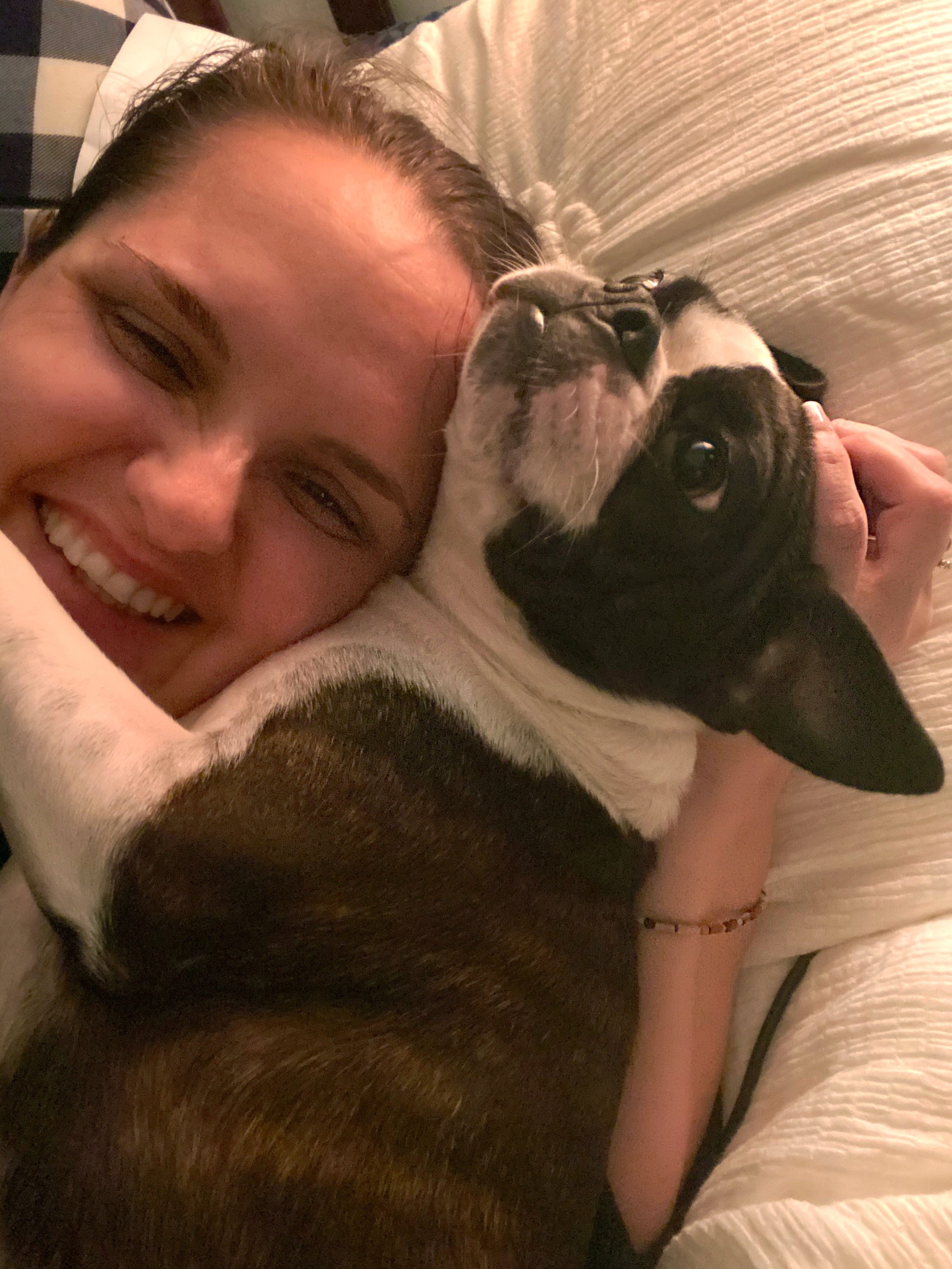 Stella Pin: Supporting The Humane Society of Louisiana