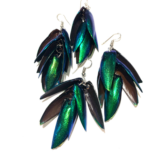 beetle wing earrings natural beetle wings beading supplies jewelry supplies natural jewelry